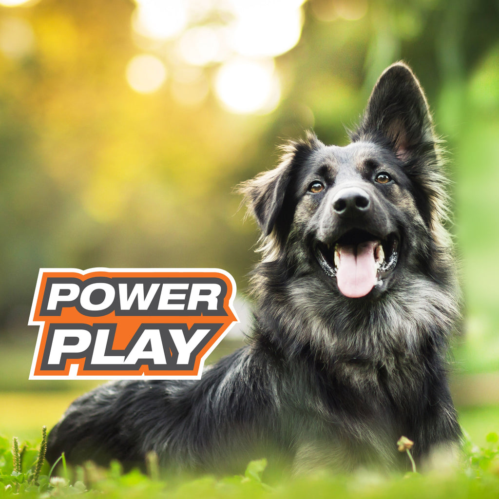 Nylabone Power Play Dog Football Gripz 1ea/Large/Giant  Up To 50 Lbs. 8.5 in 1 ct