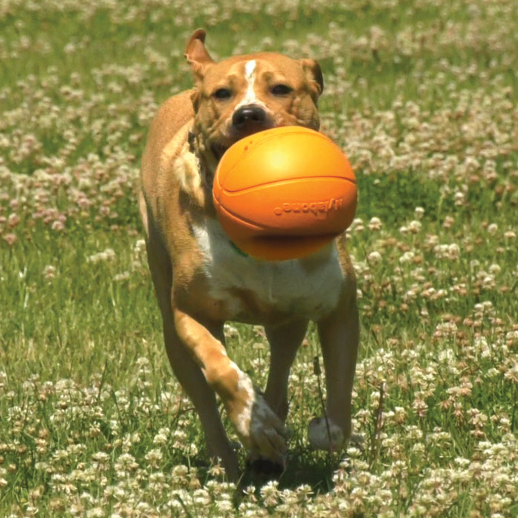 Nylabone Power Play Dog Basketball BBall Gripz 1ea/Medium/Wolf  Up To 35 Lbs. 4.5 in 1 ct