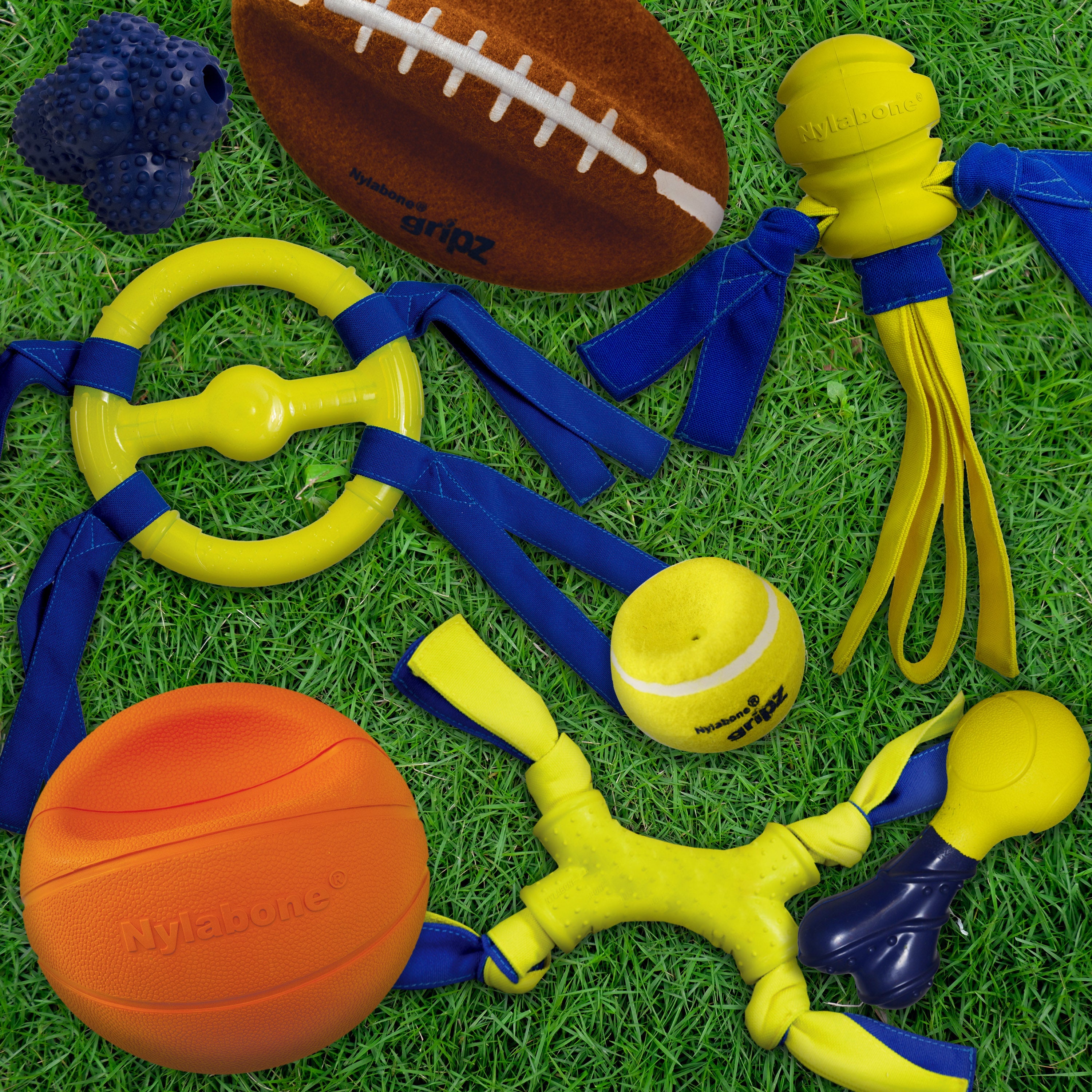 Nylabone Power Play Dog Basketball BBall Gripz 1ea/Medium/Wolf  Up To 35 Lbs. 4.5 in 1 ct