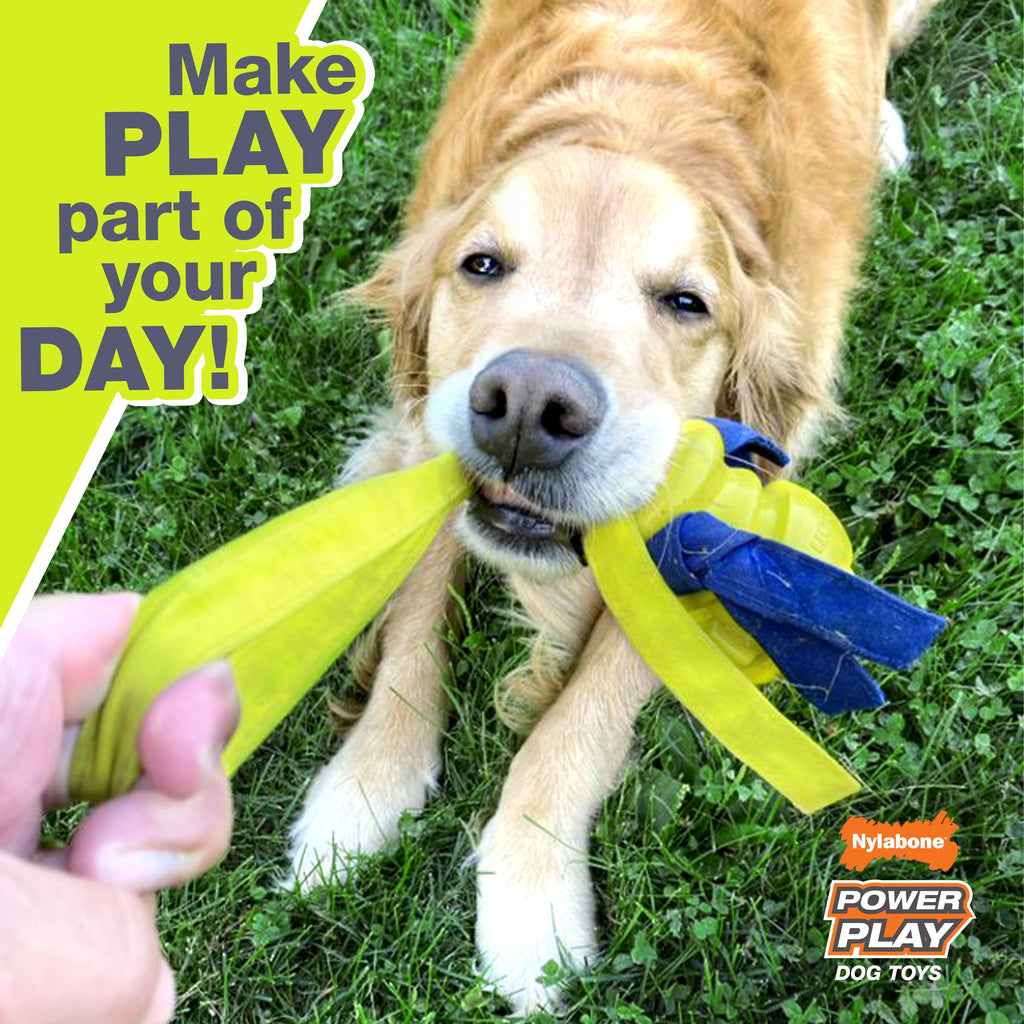 Nylabone Power Play Gripz Dog Soccer Ball Toy 1ea/Medium/Wolf  Up To 35 Lbs. 1 ct