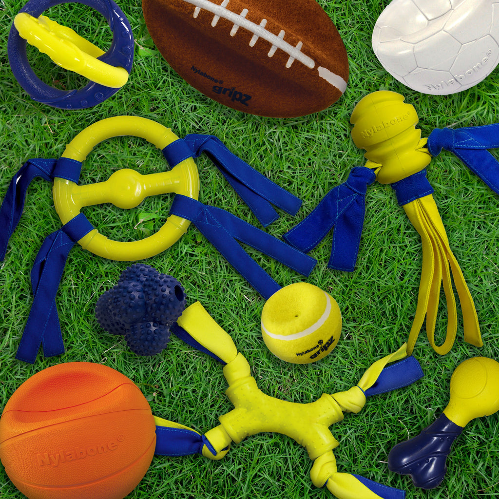 Nylabone Power Play Gripz Dog Soccer Ball Toy 1ea/Medium/Wolf  Up To 35 Lbs. 1 ct