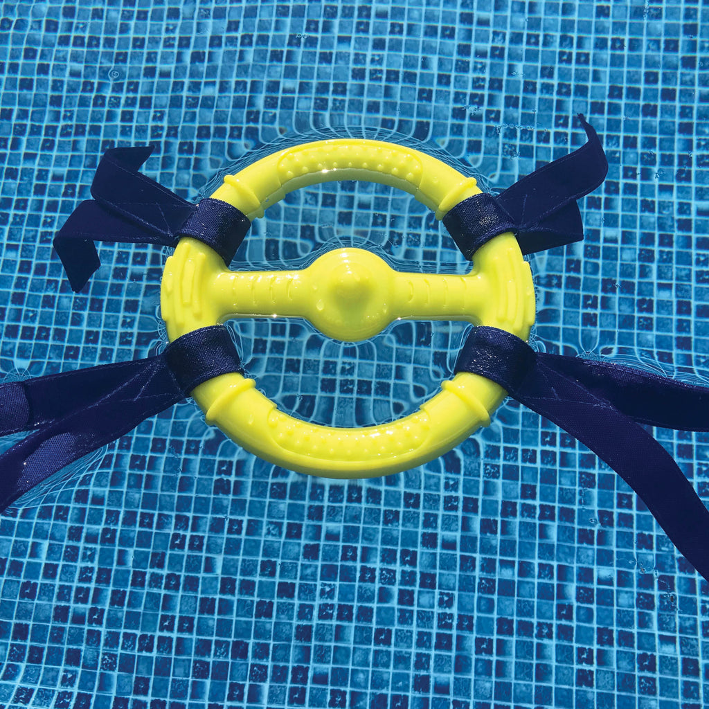 Nylabone Power Play Ring Thing Floatable Dog Toy 1ea/Medium/Wolf  Up To 35 Lbs. 1 ct