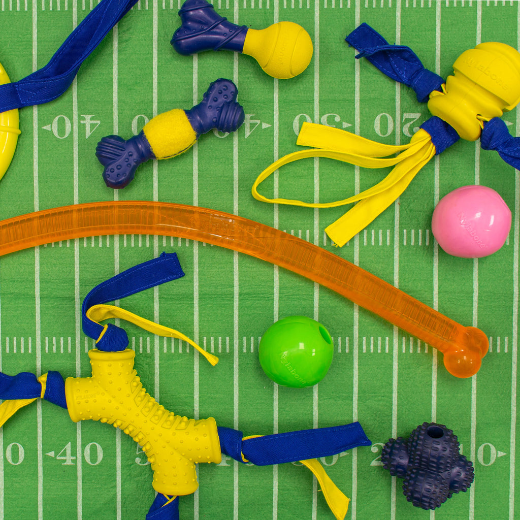 Nylabone Power Play Rubber Dog Toy FetchaBounce 1ea/SMall/Regular  Up To 25 Ibs. 1 ct
