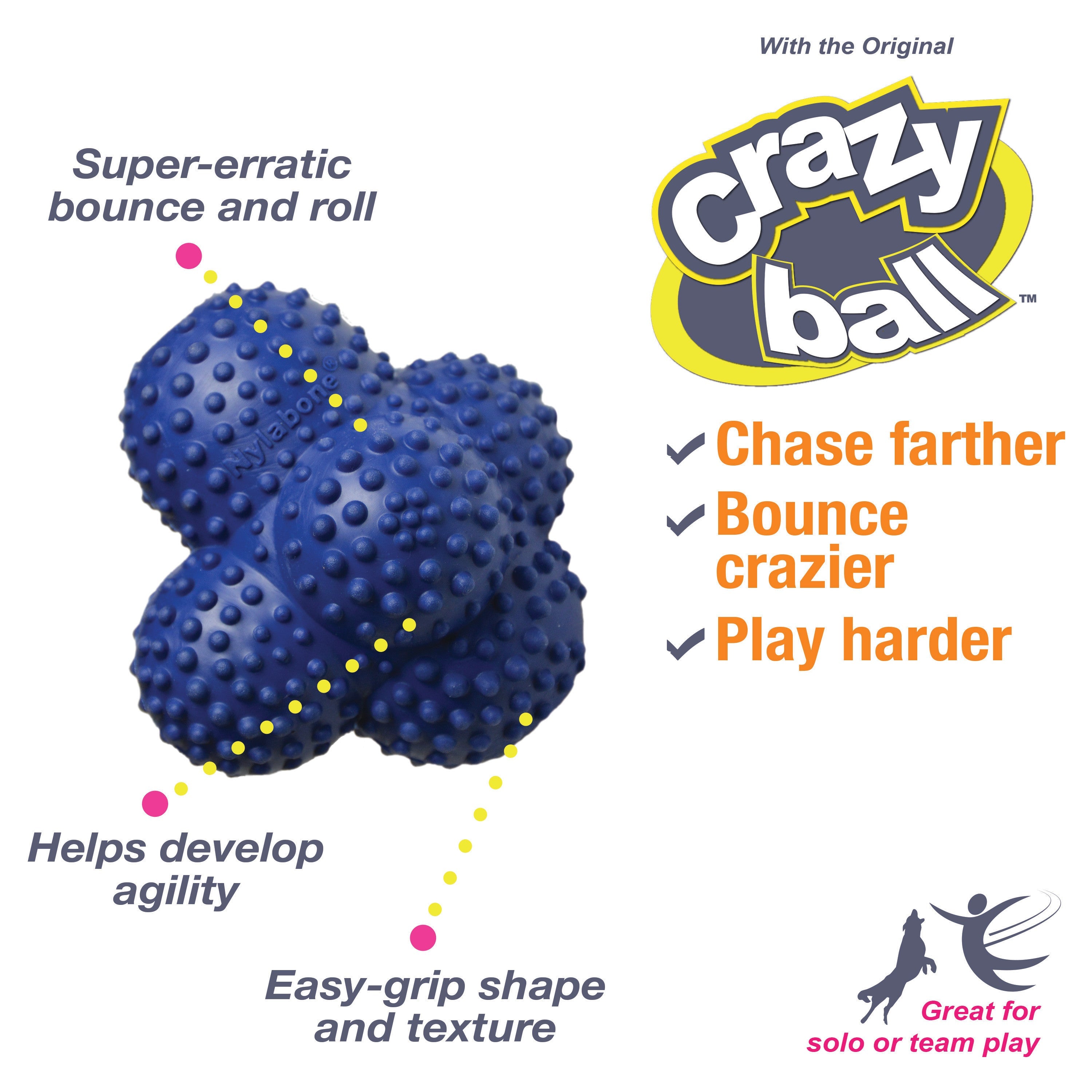 Nylabone Power Play Ball for Dogs Crazy Ball 1ea/Large/Giant  Up To 50 Lbs. 1 ct