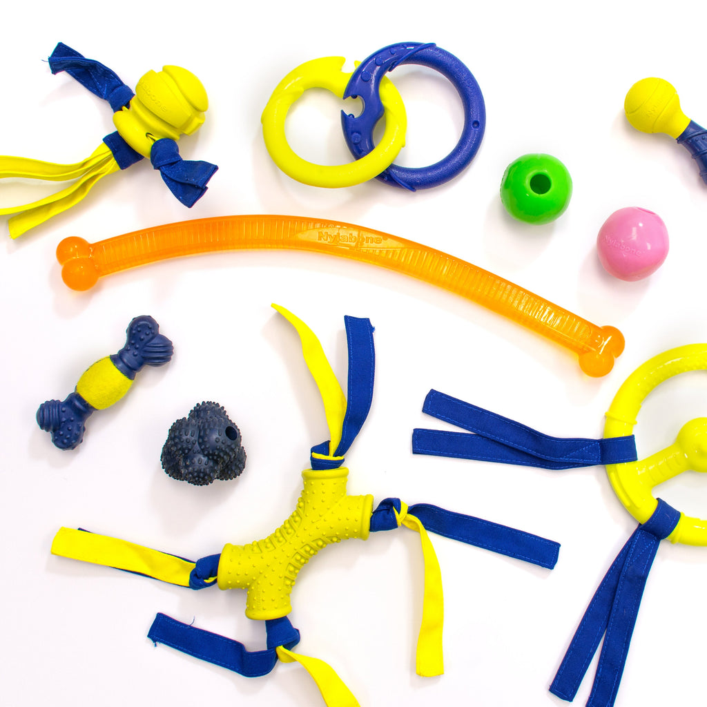 Nylabone Power Play Ball for Dogs Crazy Ball 1ea/Large/Giant  Up To 50 Lbs. 1 ct