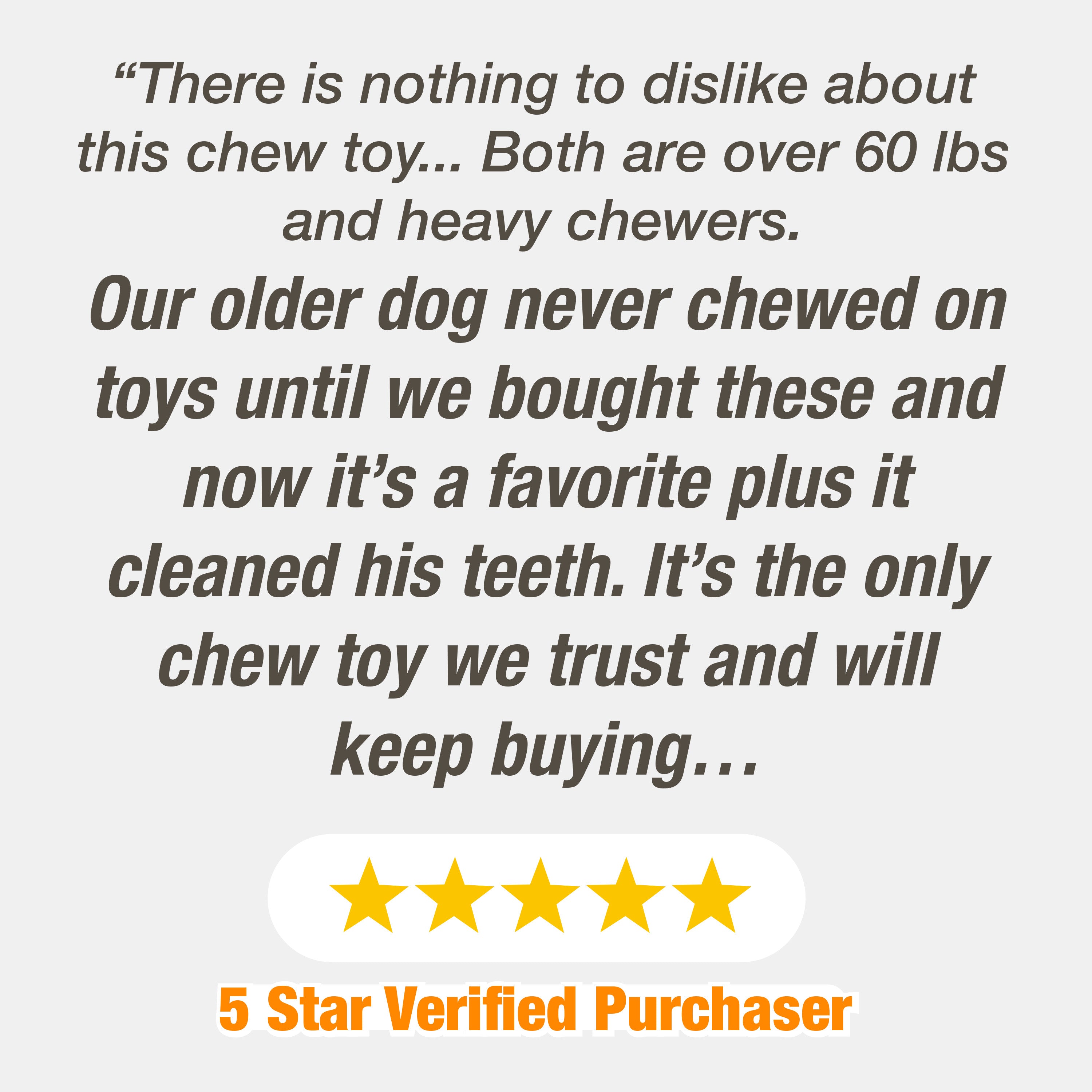 Nylabone Power Chew Textured Dog Ring Toy Flavor Medley, 1ea/SMall/Regular  Up To 25 Ibs. 1 ct