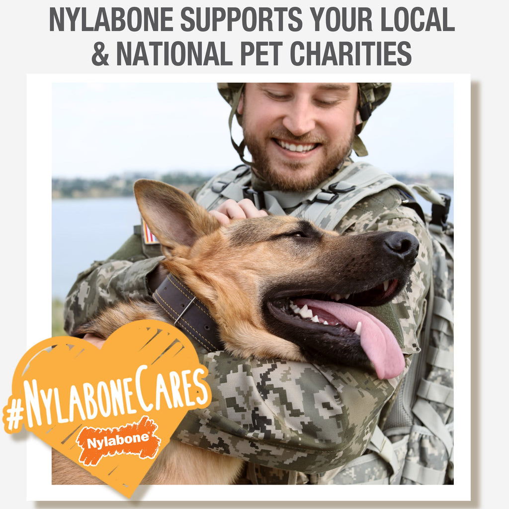 Nylabone Natural Nubz Dog Treats, AllergenFree Peanut Butter Peanut Butter, 1ea/Jumbo  Up To 50 Lbs. 2 ct