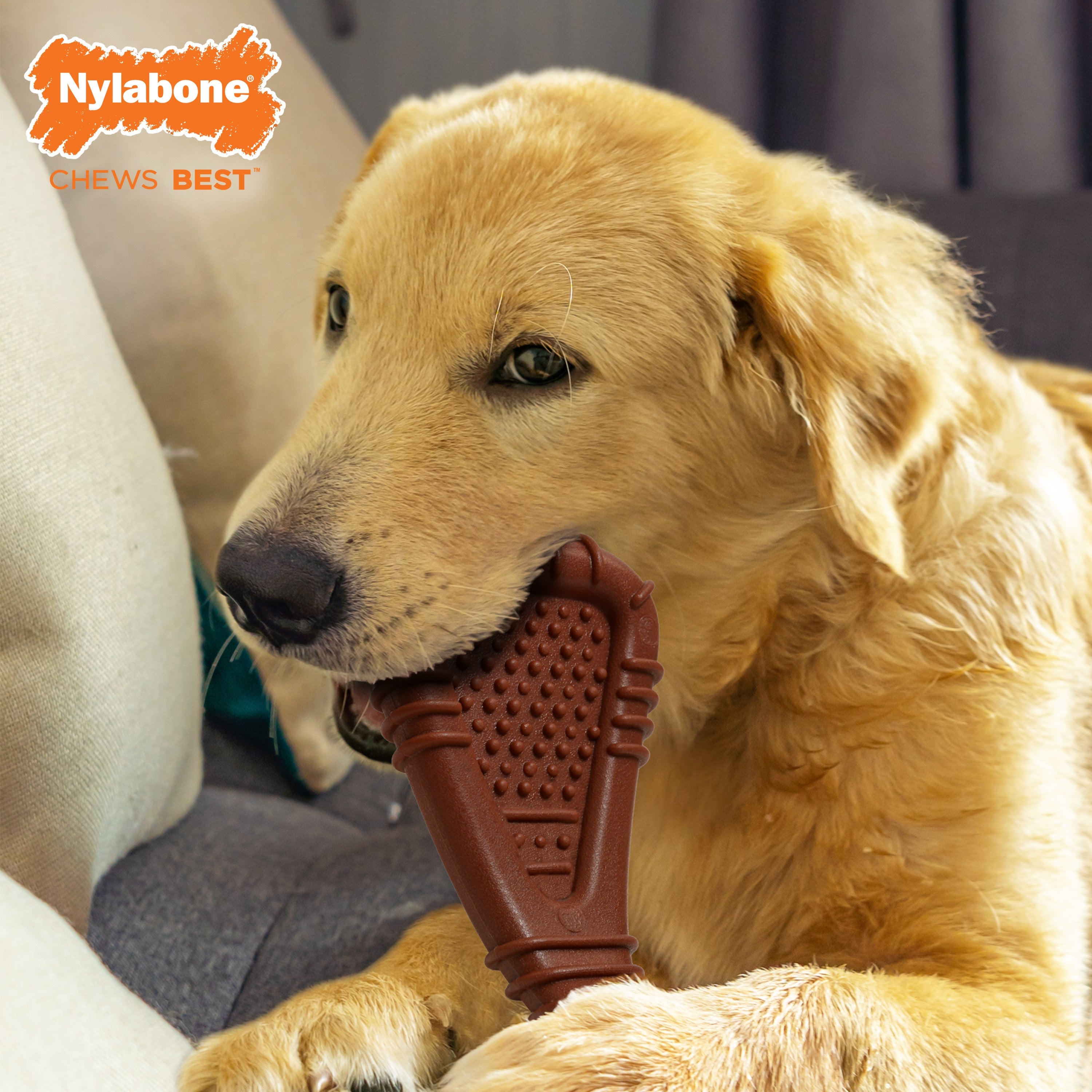 Nylabone Power Chew Arch Bone Dog Dental Chew Toy 1ea/Large/Giant  Up To 50 Lbs. 1 ct