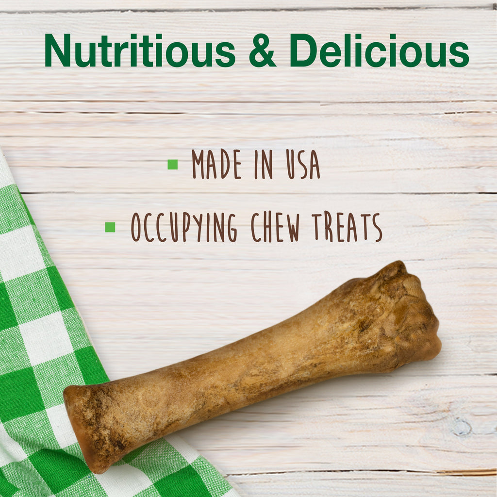 Nylabone Healthy Edibles AllNatural Long Lasting Puppy Chew Treats Lamb  Apple, 1ea/XL/Souper  50 Lbs. 1 ct