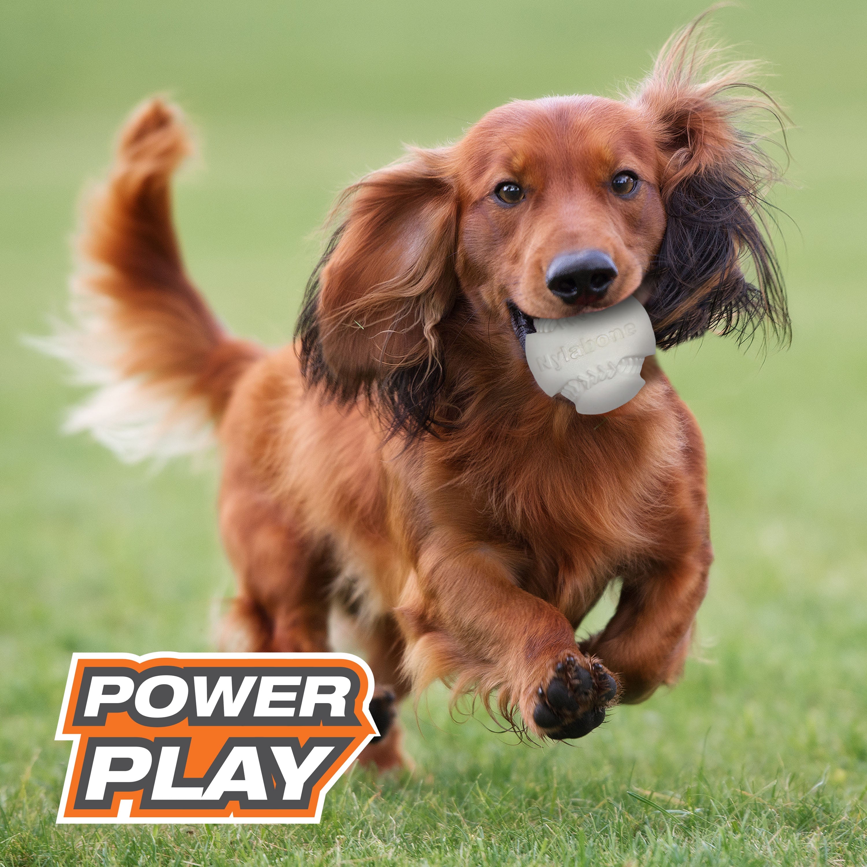 Nylabone Power Play Dog Baseball Gripz Medium/Wolf - Up To 35 Lbs. (1 ct)