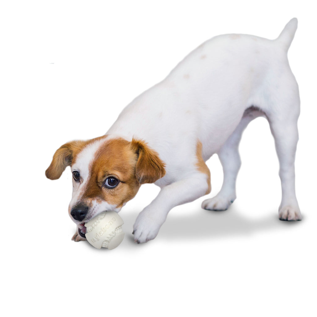 Nylabone Power Play Dog Baseball Gripz Medium/Wolf - Up To 35 Lbs. (1 ct)