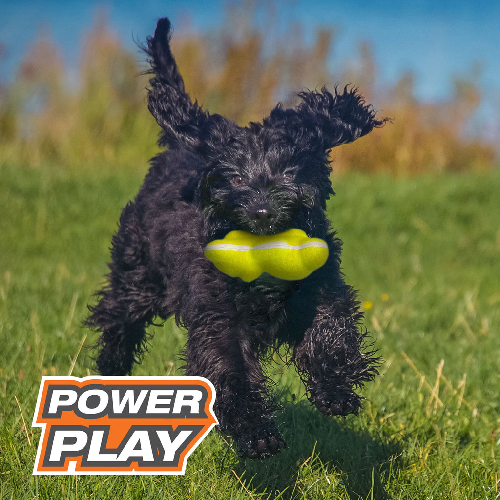 Nylabone Power Play Tennis Teddy Gripz Bear Dog Toy Medium/Wolf - Up To 35 Lbs. (1 ct)