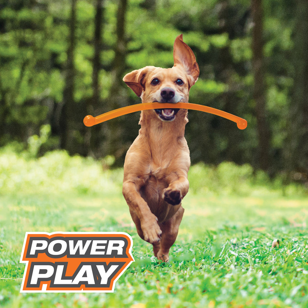 Nylabone Power Play Crazy Stick Dog Toy (1 ct)