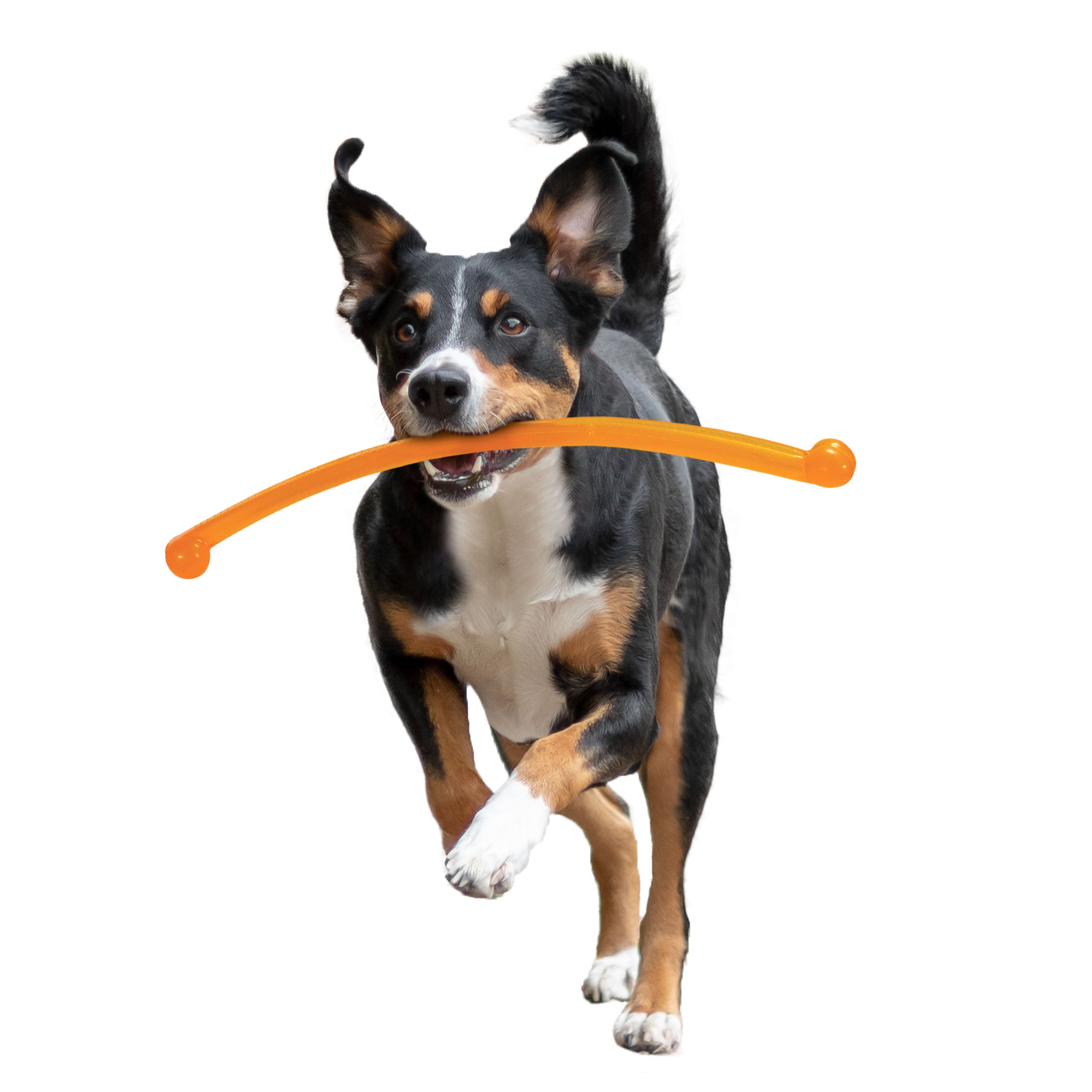 Nylabone Power Play Crazy Stick Dog Toy (1 ct)