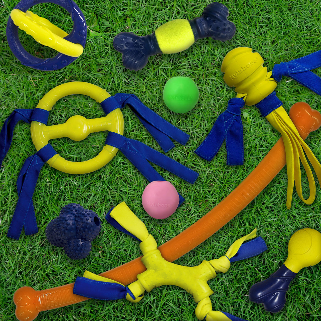 Nylabone Power Play Crazy Stick Dog Toy (1 ct)