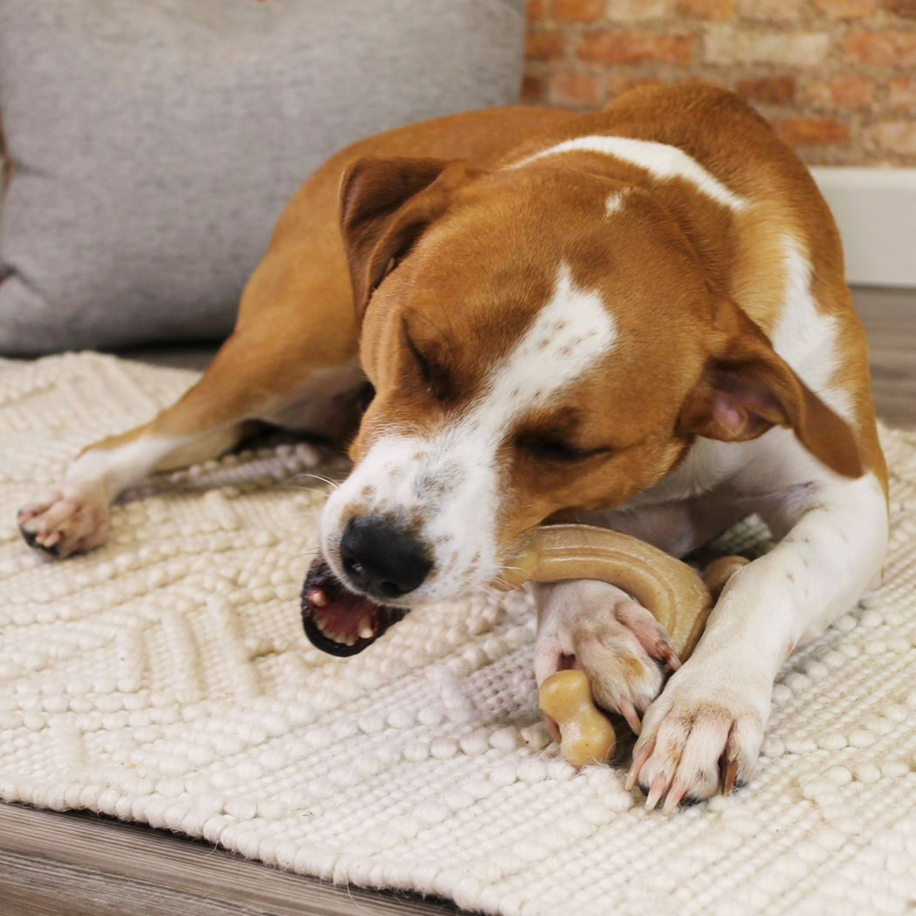 Nylabone Gourmet Style Strong Chew Wishbone Dog Chew Toy Chicken, 1ea/Large/Giant  Up To 50 Lbs. 1 ct