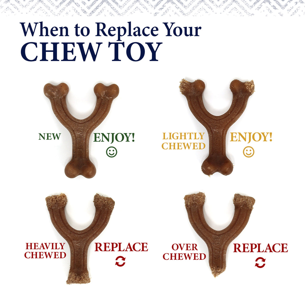 Nylabone Gourmet Style Strong Chew Toy Stick, Peanut Butter, 1ea/XL/Souper  50 Lbs. 1 ct