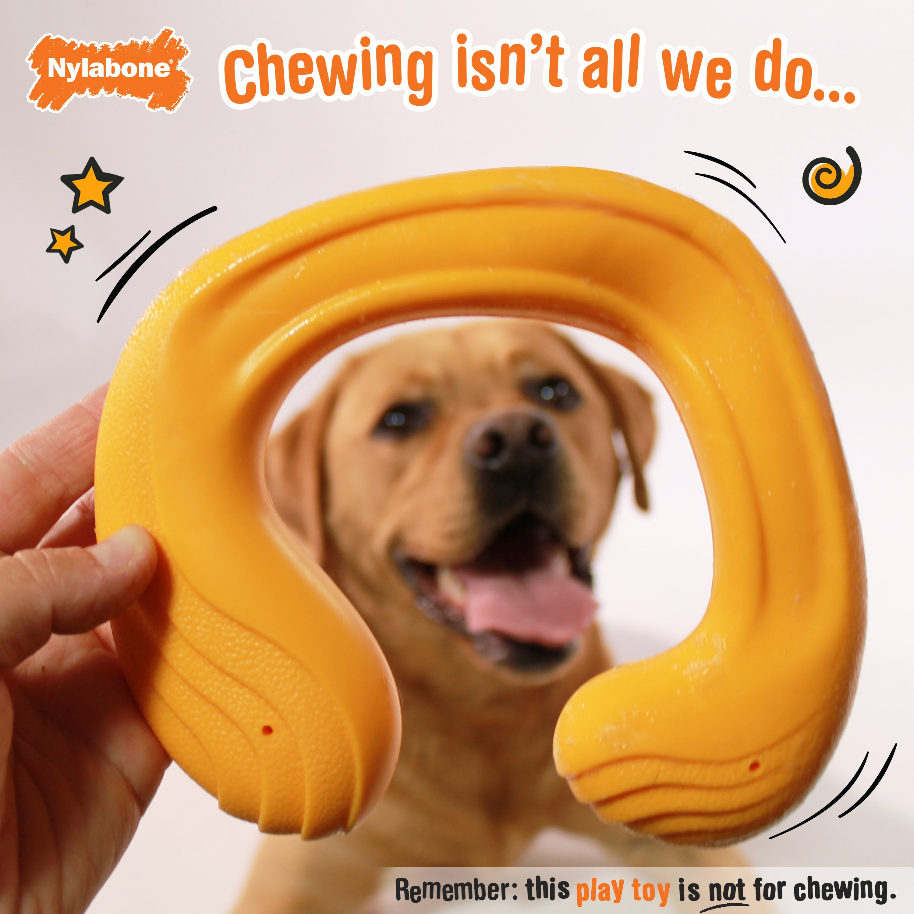Nylabone Creative Play C-Shuu Dog Chase Toy Orange Large/Giant - Up To 50 Lbs. (1 ct)