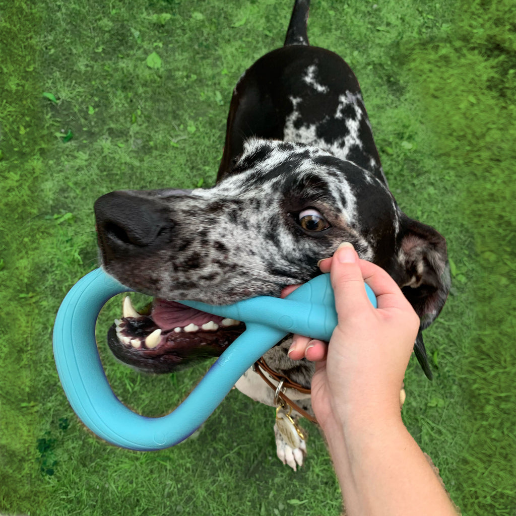 Nylabone Creative Play Tuug Dog Tug Toy Blue, 1ea/Large/Giant  Up To 50 Lbs. 1 ct