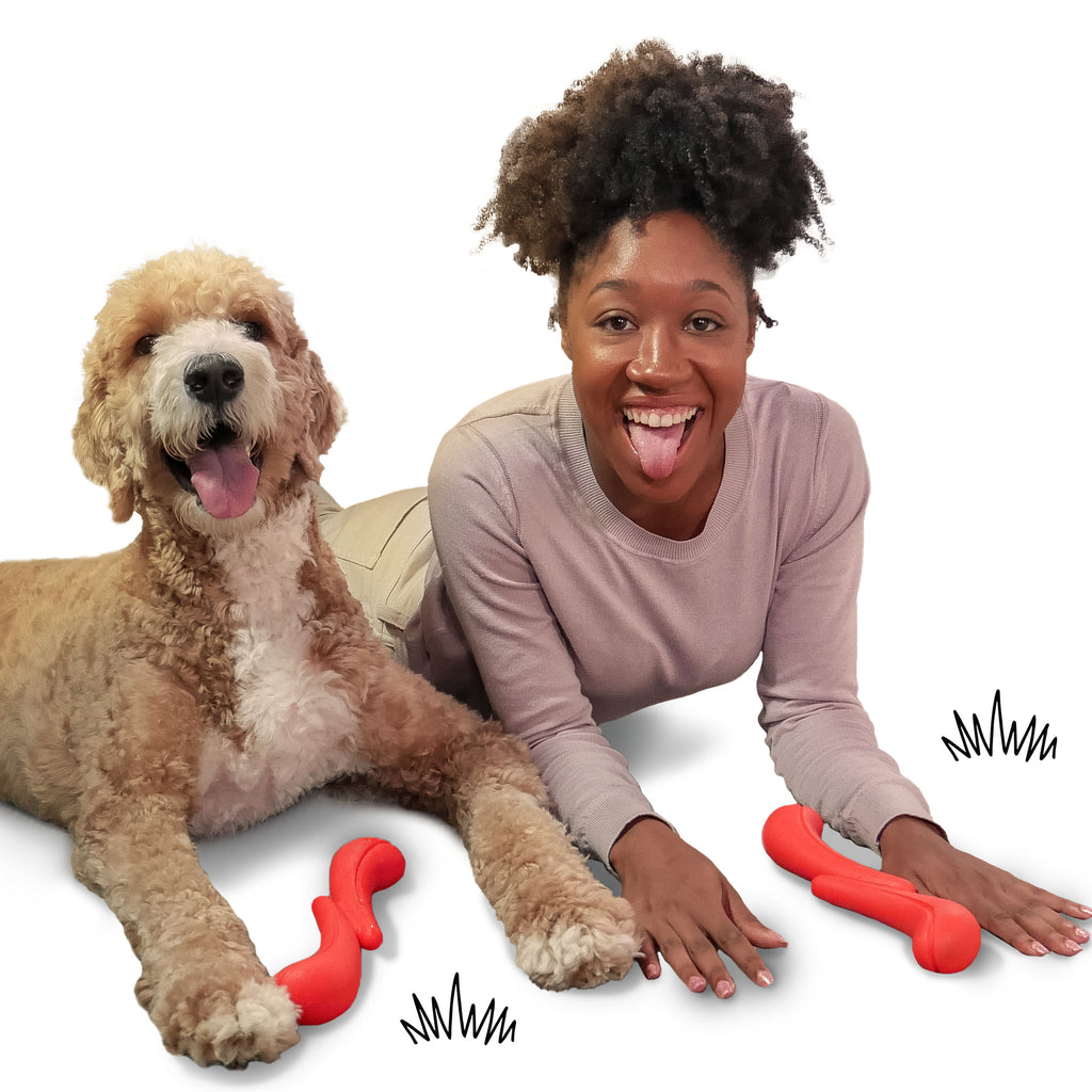 Nylabone Creative Play Stik-GO Dog Fetch Toy Red Large/Giant - Up To 50 Lbs. (1 ct)