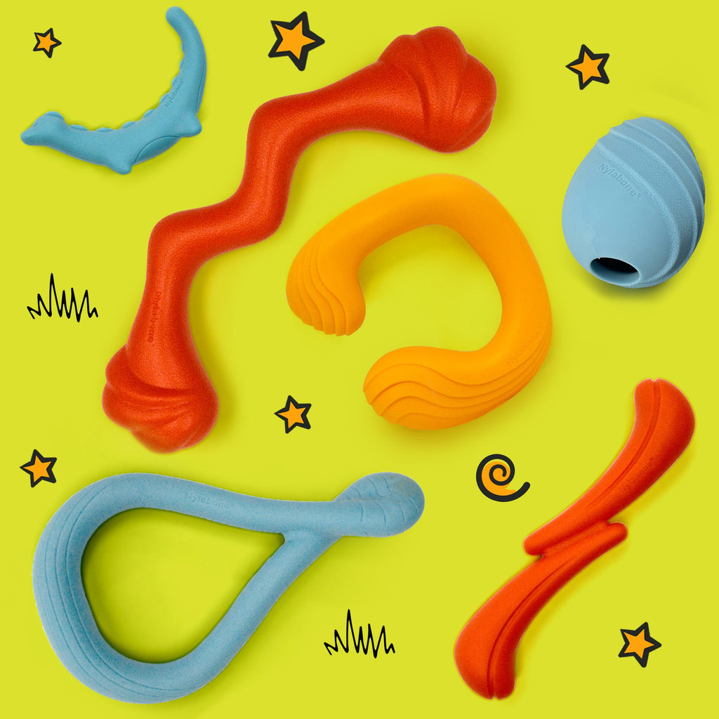 Nylabone Creative Play Rexii Interactive Dog Toy Blue, 1ea/SMall/Regular  Up To 25 Ibs. 1 ct