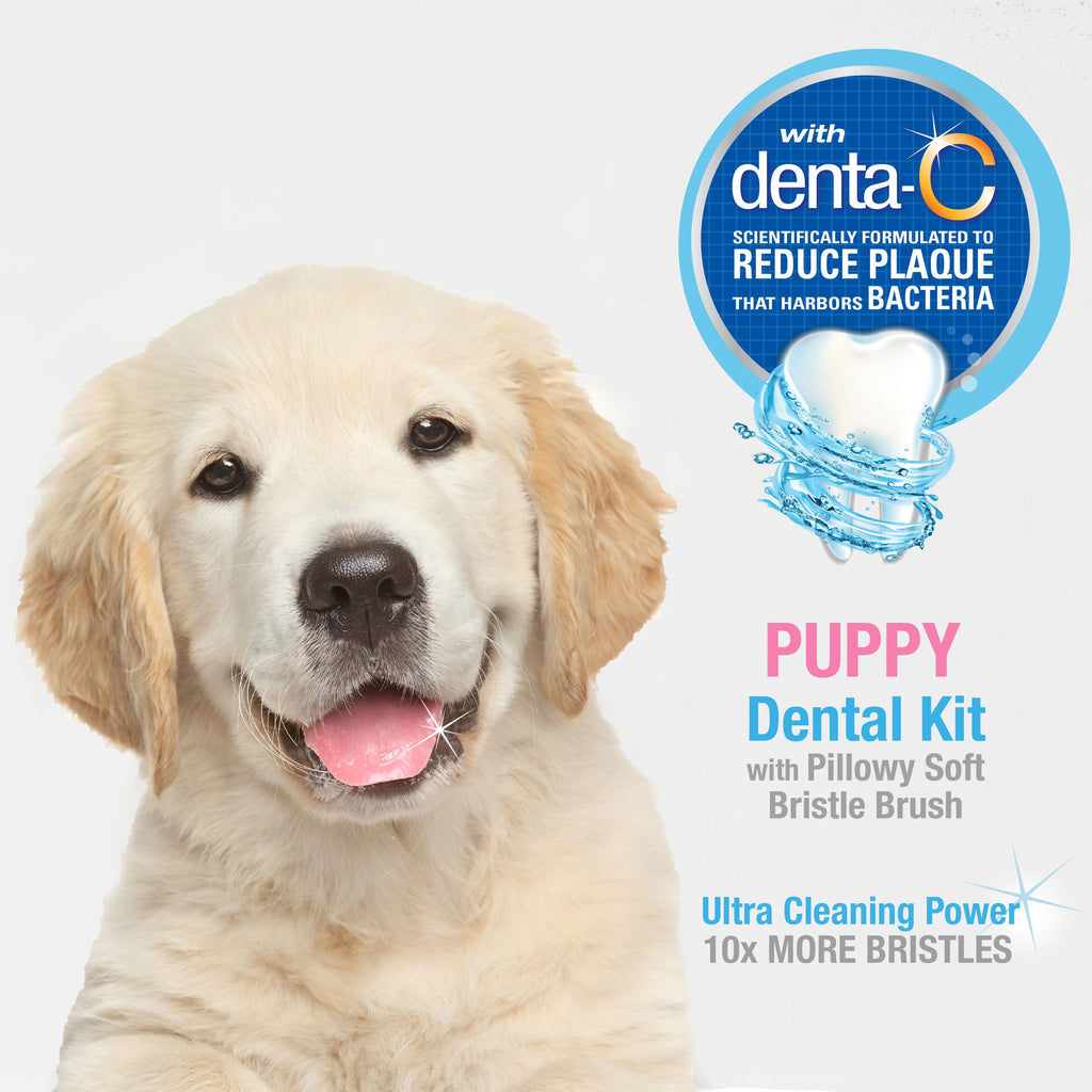 Nylabone Advanced Oral Care Puppy Dental Kit with Pillowy SoftBristle Toothbrush Peanut Butter, 1ea/2.5 oz 3 ct