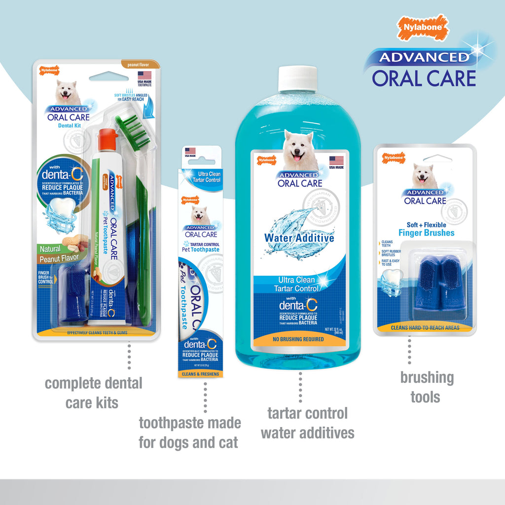 Nylabone Advanced Oral Care Senior Dog Dental Kit with Cushiony SoftBristle Toothbrush Bacon, 1ea/2.5 oz 3 ct
