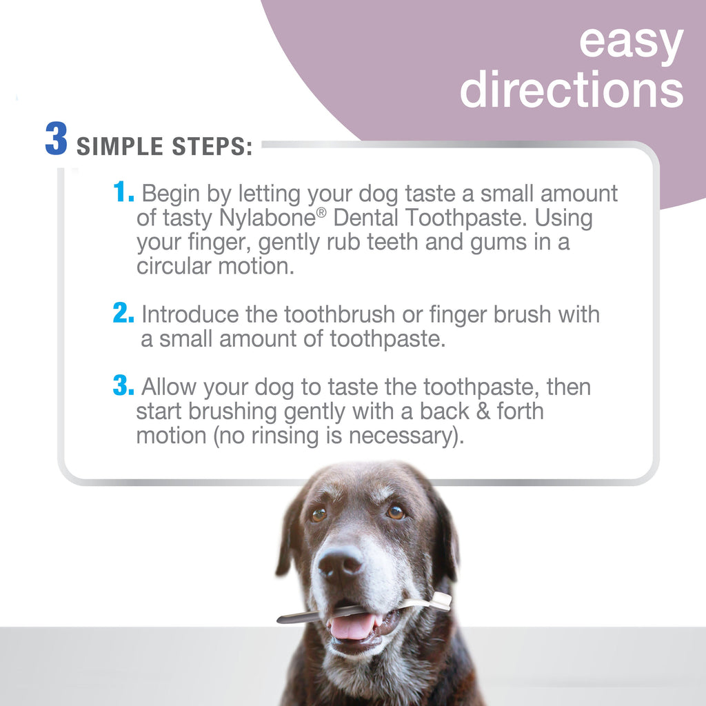 Nylabone Advanced Oral Care Senior Dog Dental Kit with Cushiony SoftBristle Toothbrush Bacon, 1ea/2.5 oz 3 ct