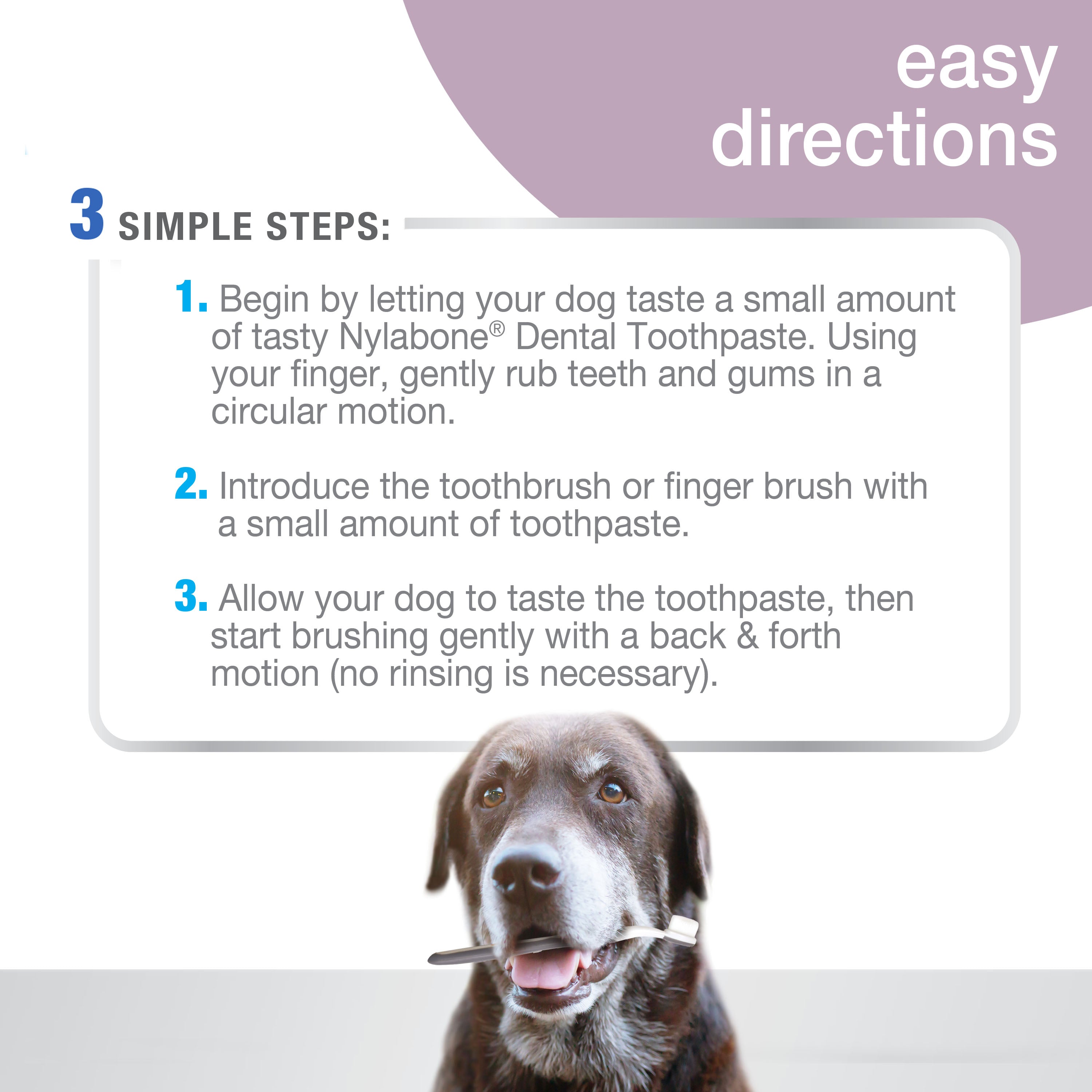 Nylabone Advanced Oral Care Senior Dog Dental Kit with Cushiony SoftBristle Toothbrush Bacon, 1ea/2.5 oz 3 ct