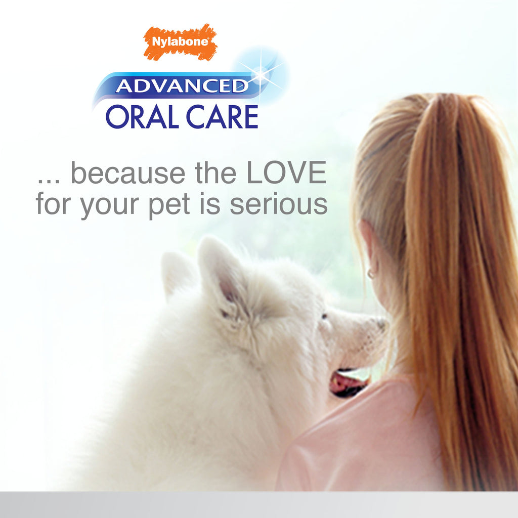 Nylabone Advanced Oral Care Senior Dog Dental Kit with Cushiony SoftBristle Toothbrush Bacon, 1ea/2.5 oz 3 ct