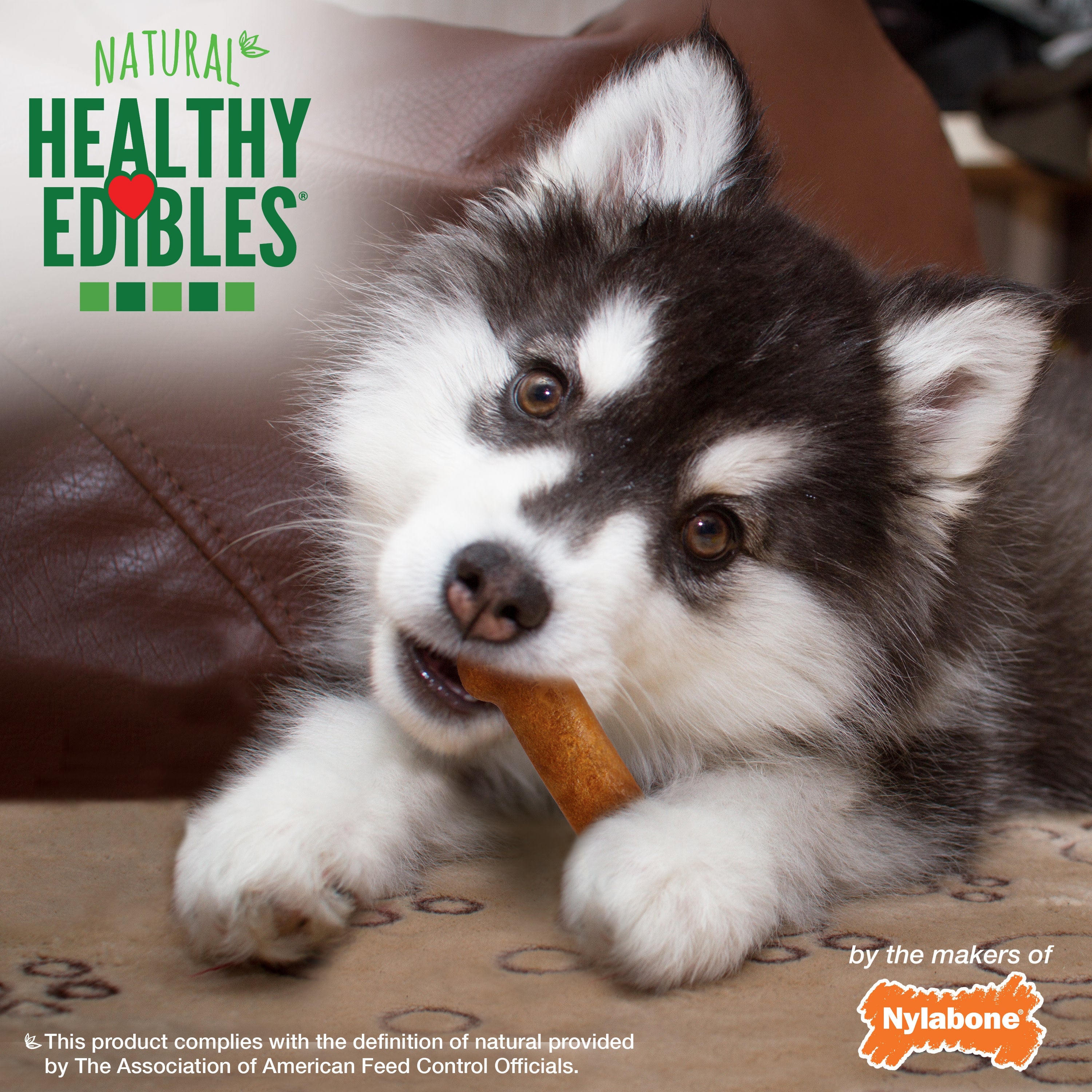 Nylabone Healthy Edibles AllNatural Long Lasting Puppy Chew Treats Turkey  Sweet Potato, 1ea/SMall/Regular  Up To 25 Ibs. 8 ct