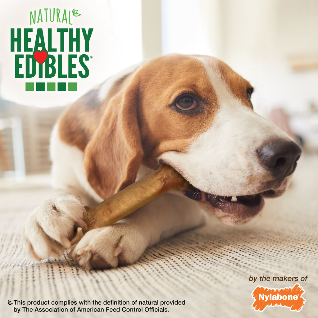 Nylabone Healthy Edibles AllNatural Long Lasting Chew Treats Bacon, 1ea/Medium/Wolf  Up To 35 Lbs. 12 ct