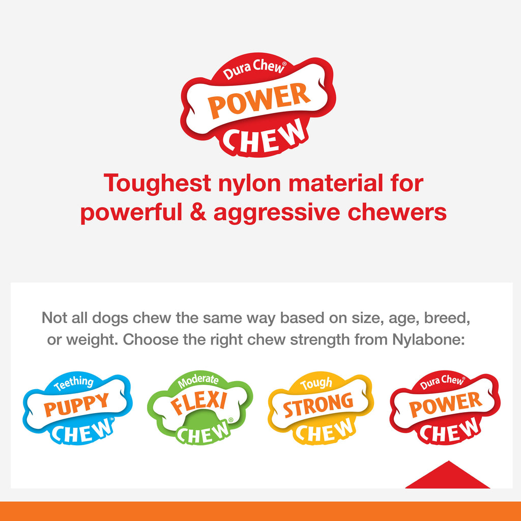 Nylabone Power Chew Baguette Dog Toy Roast Chicken, 1ea/Large/Giant  Up To 50 Lbs. 1 ct
