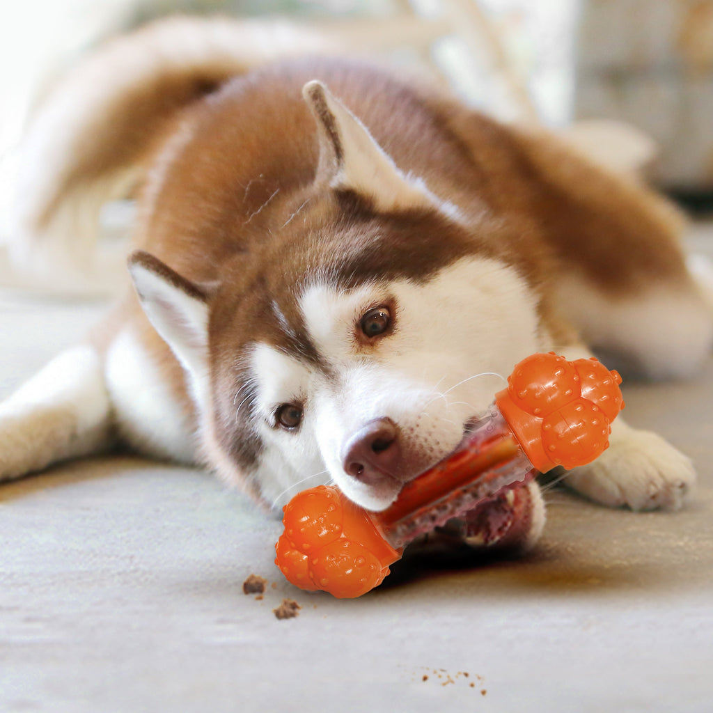 Nylabone Sneaky Snacker Dog Treat Toy Bacon, Orange, 1ea/Large/Giant  Up To 50 Lbs. 1 ct