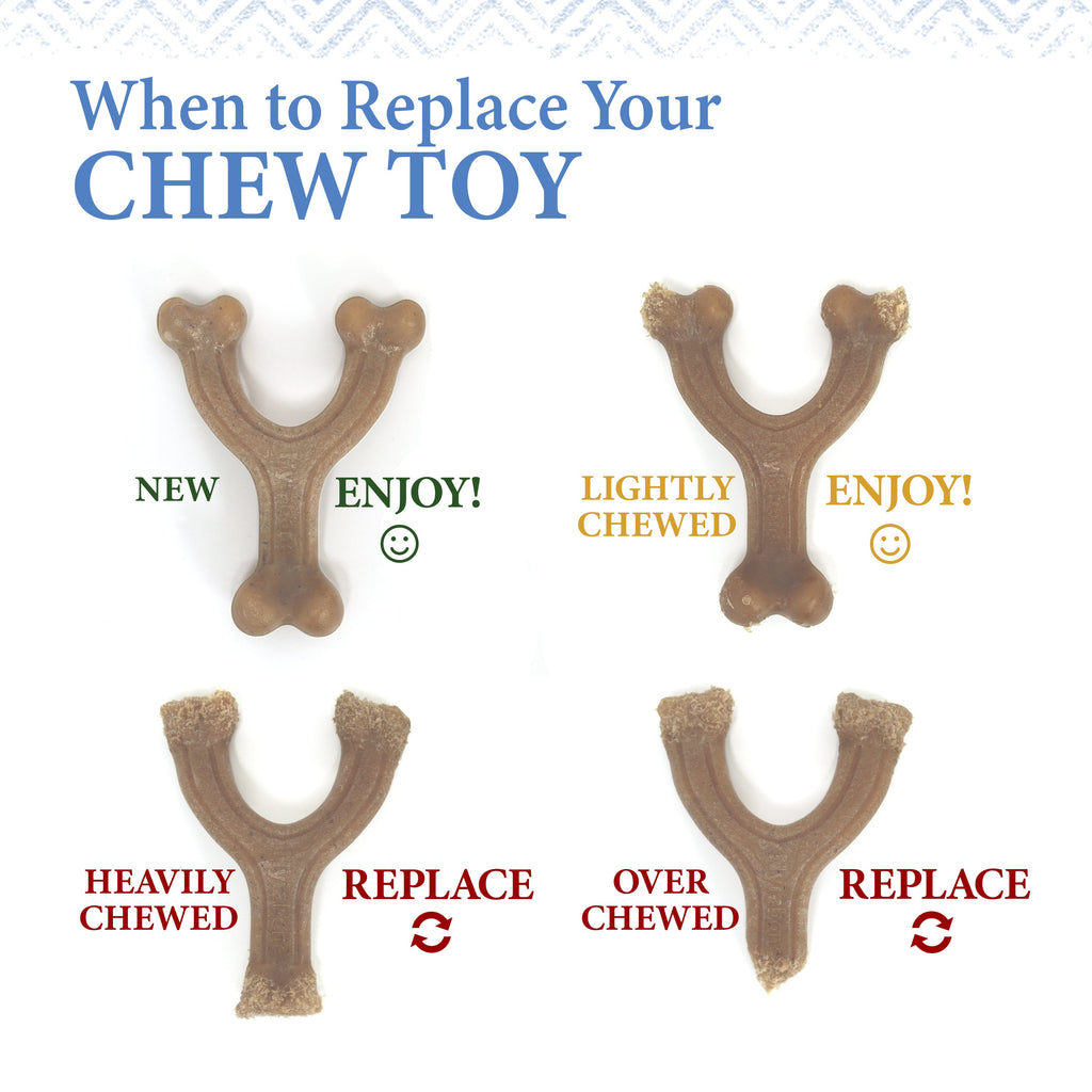 Nylabone Gourmet Style Strong Wishbone Puppy Chew Toy Peanut Butter, 1ea/SMall/Regular  Up To 25 Ibs. 1 ct