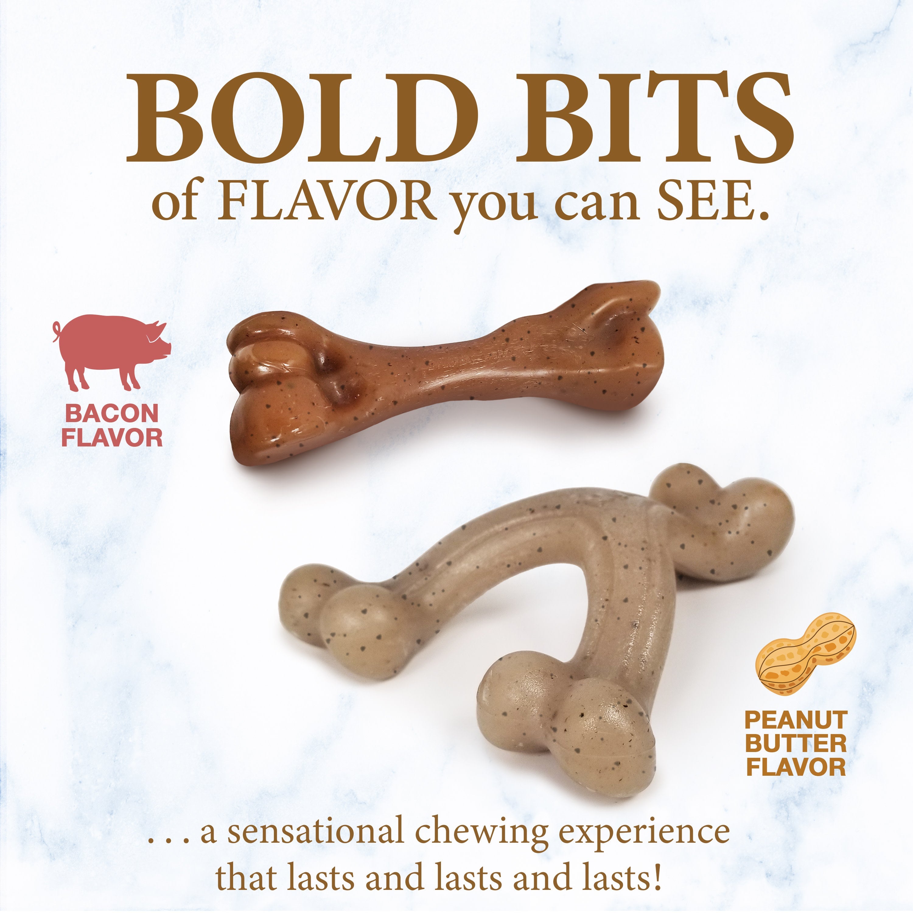 Nylabone Gourmet Style Puppy Chew Toy Twin Pack Peanut Butter  Bacon, 1ea/SMall/Regular  Up To 25 Ibs. 2 ct