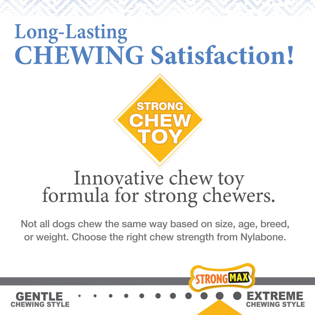 Nylabone Gourmet Style Puppy Chew Toy Twin Pack Peanut Butter  Bacon, 1ea/SMall/Regular  Up To 25 Ibs. 2 ct