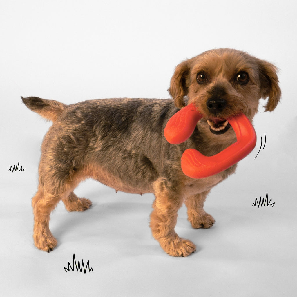 Nylabone Creative Play C-Shuu Dog Chase Toy Red Small/Regular - Up To 25 Ibs. (1 ct)