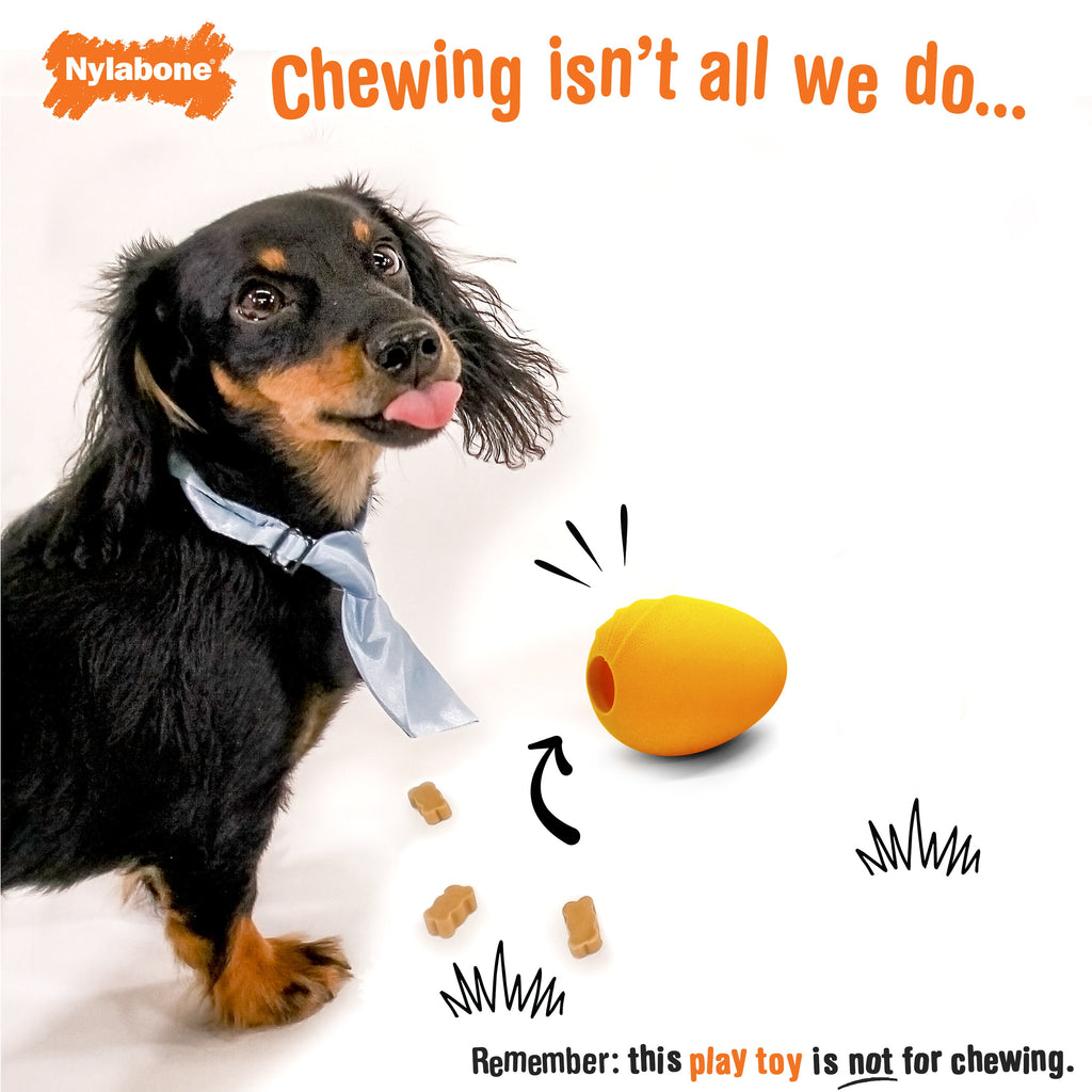 Nylabone Creative Play Eggi Dog Treat Toy Orange Small/Regular - Up To 25 Ibs. (1 ct)