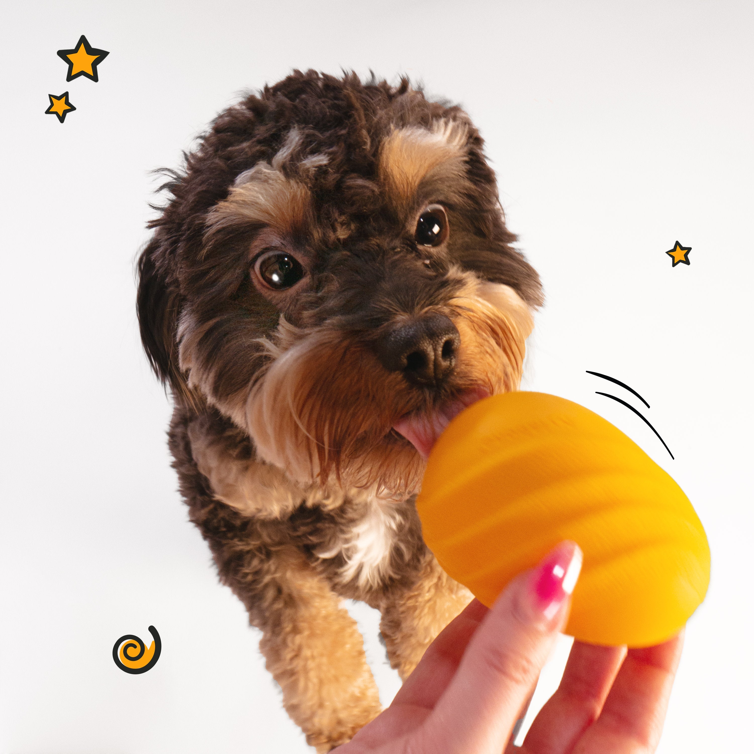 Nylabone Creative Play Eggi Dog Treat Toy Orange Small/Regular - Up To 25 Ibs. (1 ct)