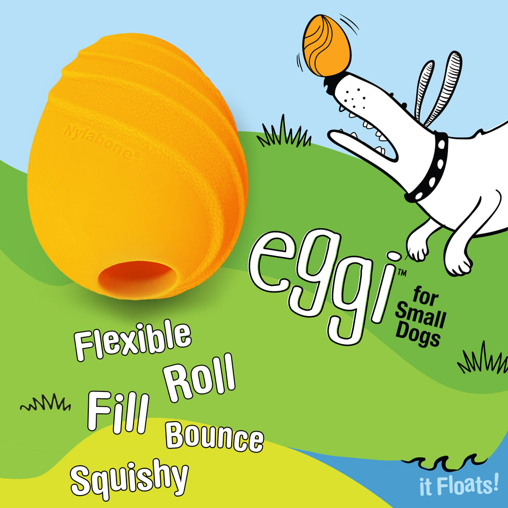 Nylabone Creative Play Eggi Dog Treat Toy Orange Small/Regular - Up To 25 Ibs. (1 ct)