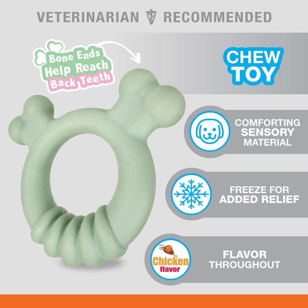Nylabone Sensory Material Puppy Teething Ring Chicken, 1ea/SMall/Regular  Up To 25 Ibs. 1 ct