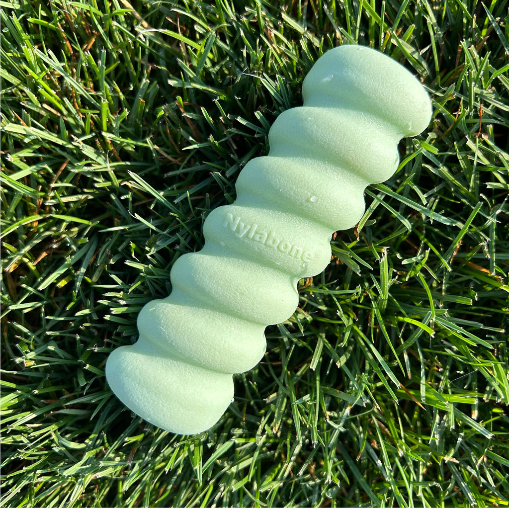Nylabone Sensory Material Puppy Teething Toy Peanut Butter, 1ea/SMall/Regular  Up To 25 Ibs. 1 ct