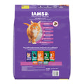 IAMS Proactive Health Kitten Dry Cat Food Chicken 16lb