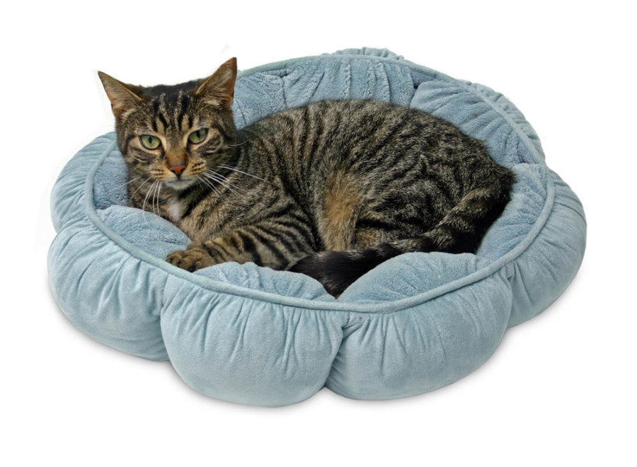 Aspen Puffy Round Pet Bed Assorted 18 in