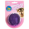 JW Pet Bristl-ee Cactus Ball Puppy Toy Puppy