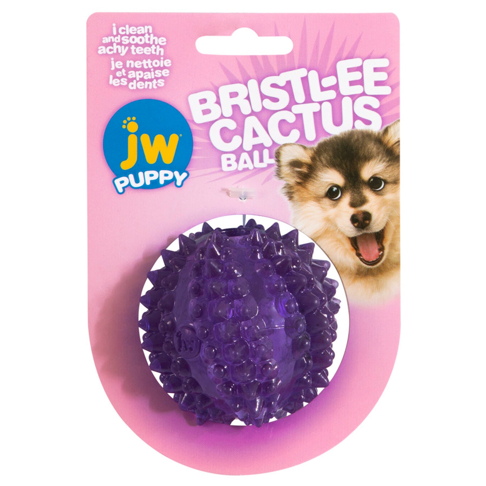 JW Pet Bristl-ee Cactus Ball Puppy Toy Puppy