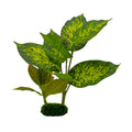Blue Ribbon Pet Products Tropical Gardens Dieffenbachia Aquarium Plant 10 in