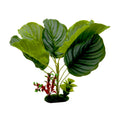 Blue Ribbon Pet Products Tropical Gardens Variegated Calathea Aquarium Plant 13 in