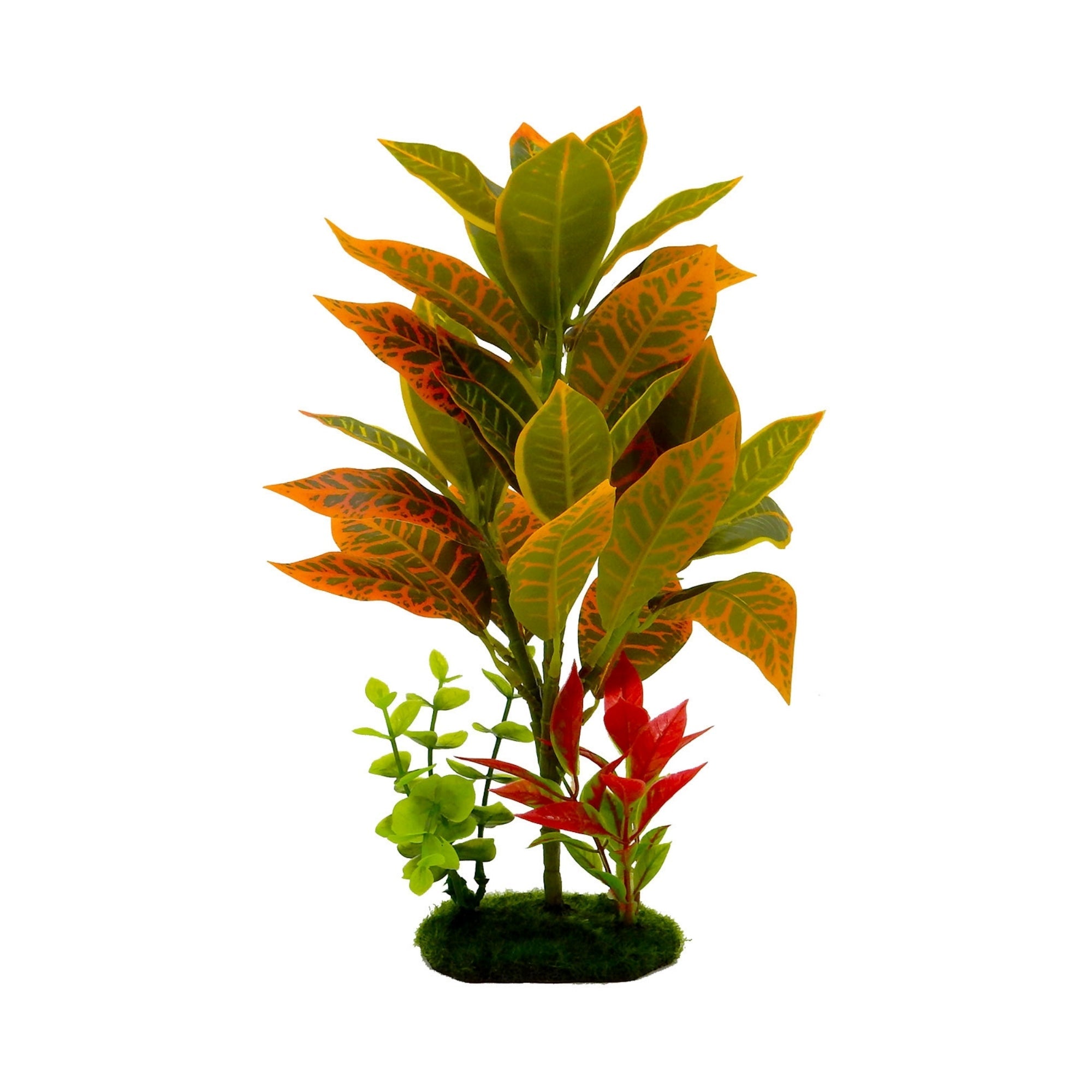 Blue Ribbon Pet Products Tropical Gardens Croton Petra Aquarium Plant 11.5 in
